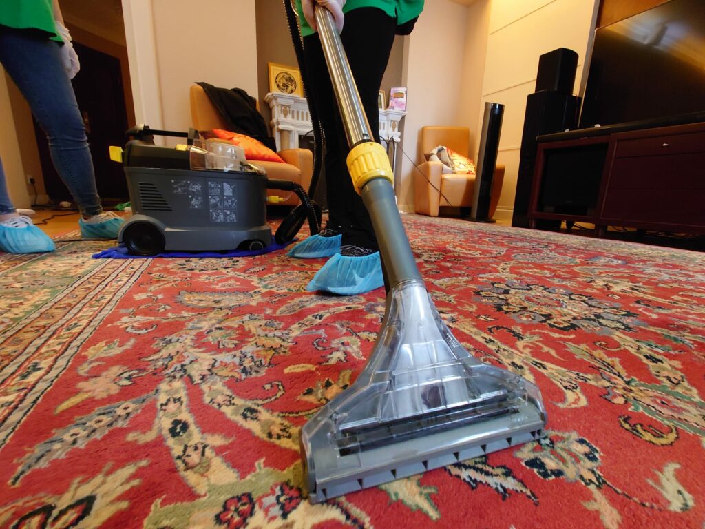 Carpet cleaning_12